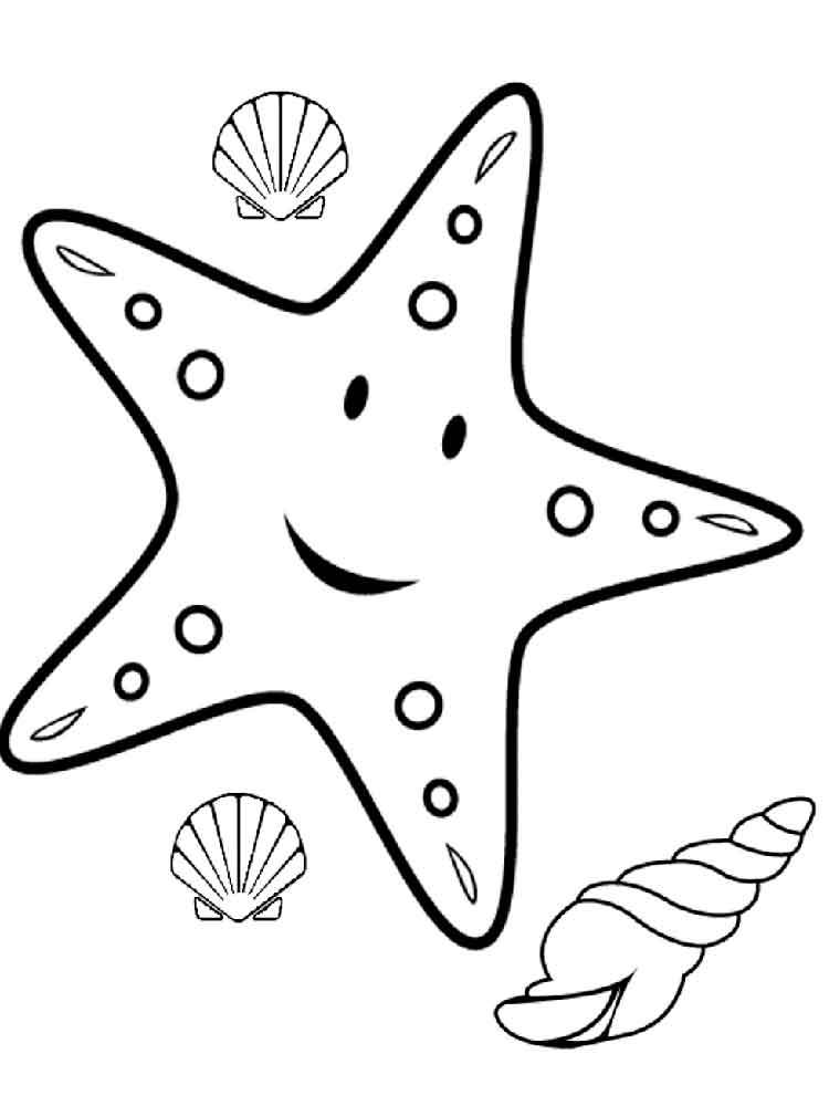 Морська зірка
