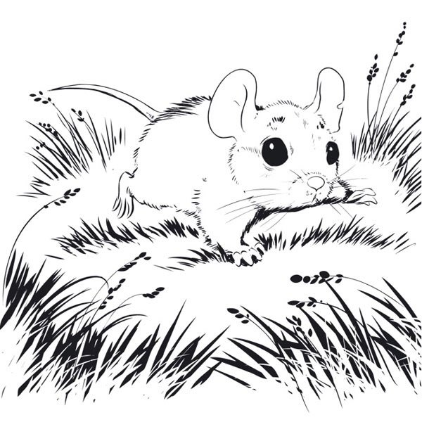 Мишеня Пік в траві
