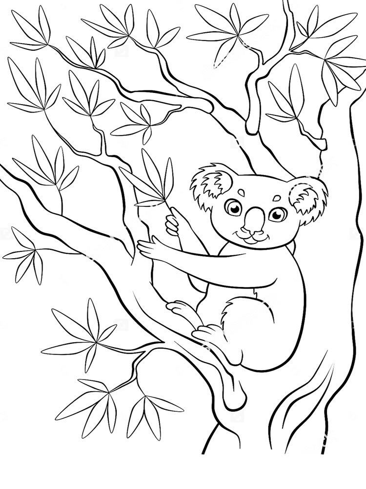 Задоволена коала