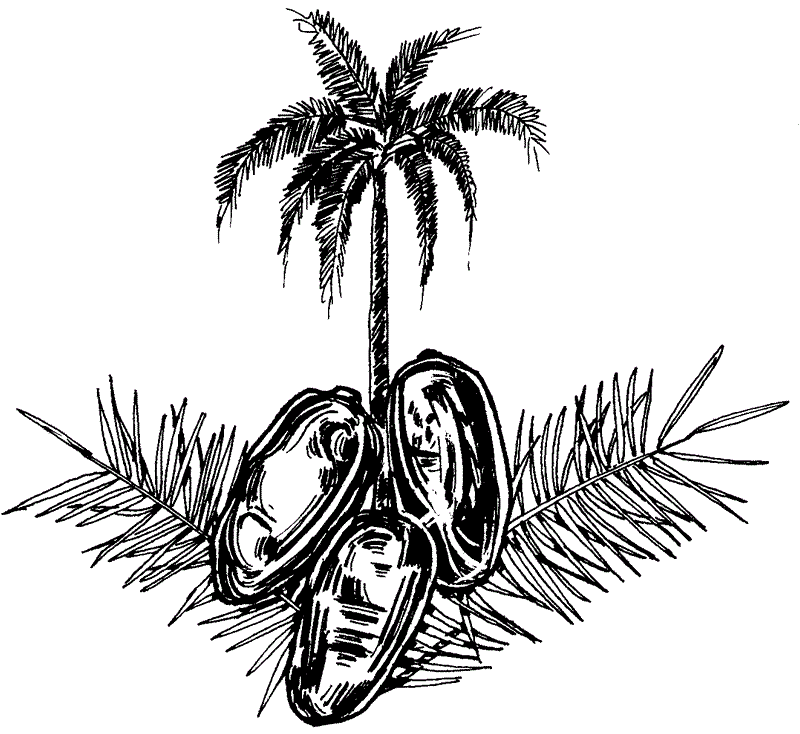 Фінікова пальма