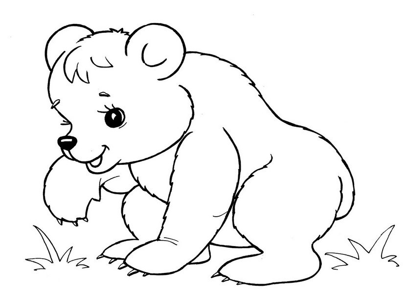 розмальовка ведмідь