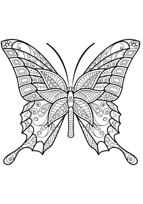 метелик з візерунками