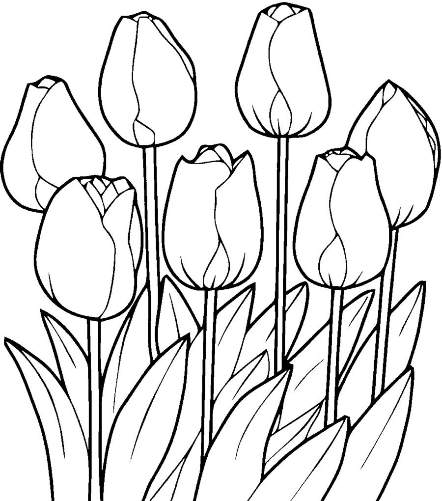 Розмальовка Тюльпан