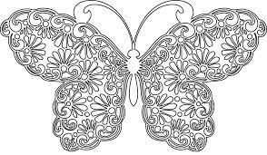 Розмальовка метелик антистрес
