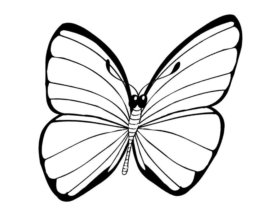 Крила метелика