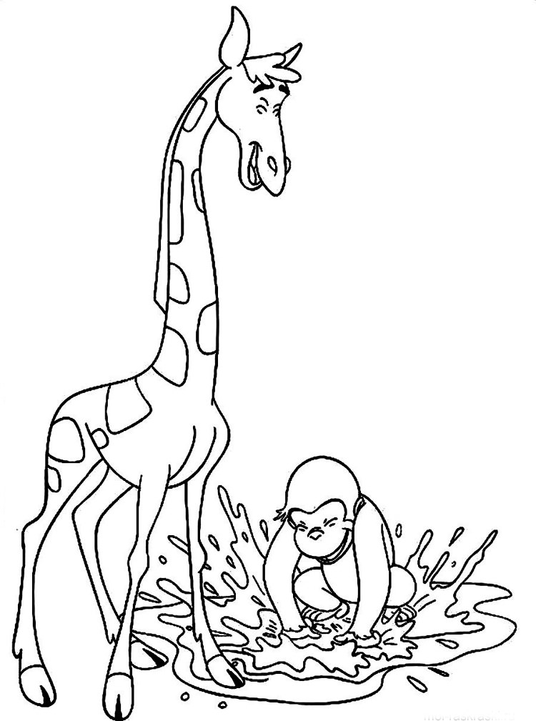 Жираф і мавпа