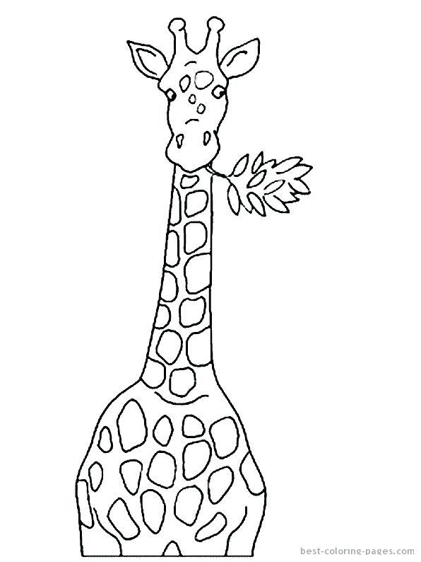 Жираф з гілкою
