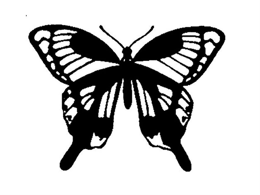 Картинка Метелик