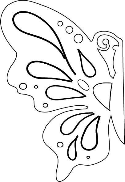 Крило метелика