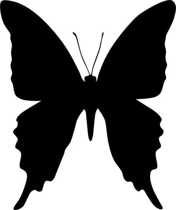 Чорна метелик
