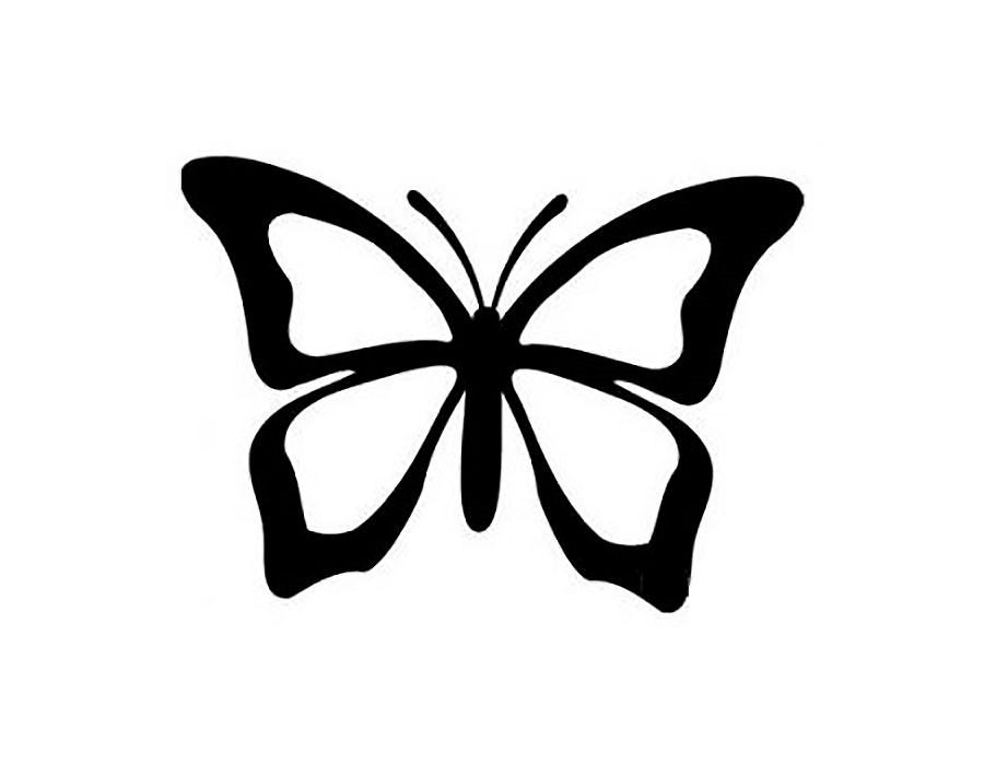 Метелик з чорним контуром