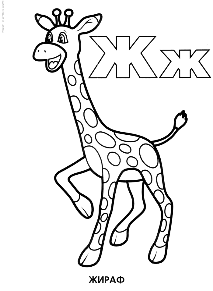 ж Жираф