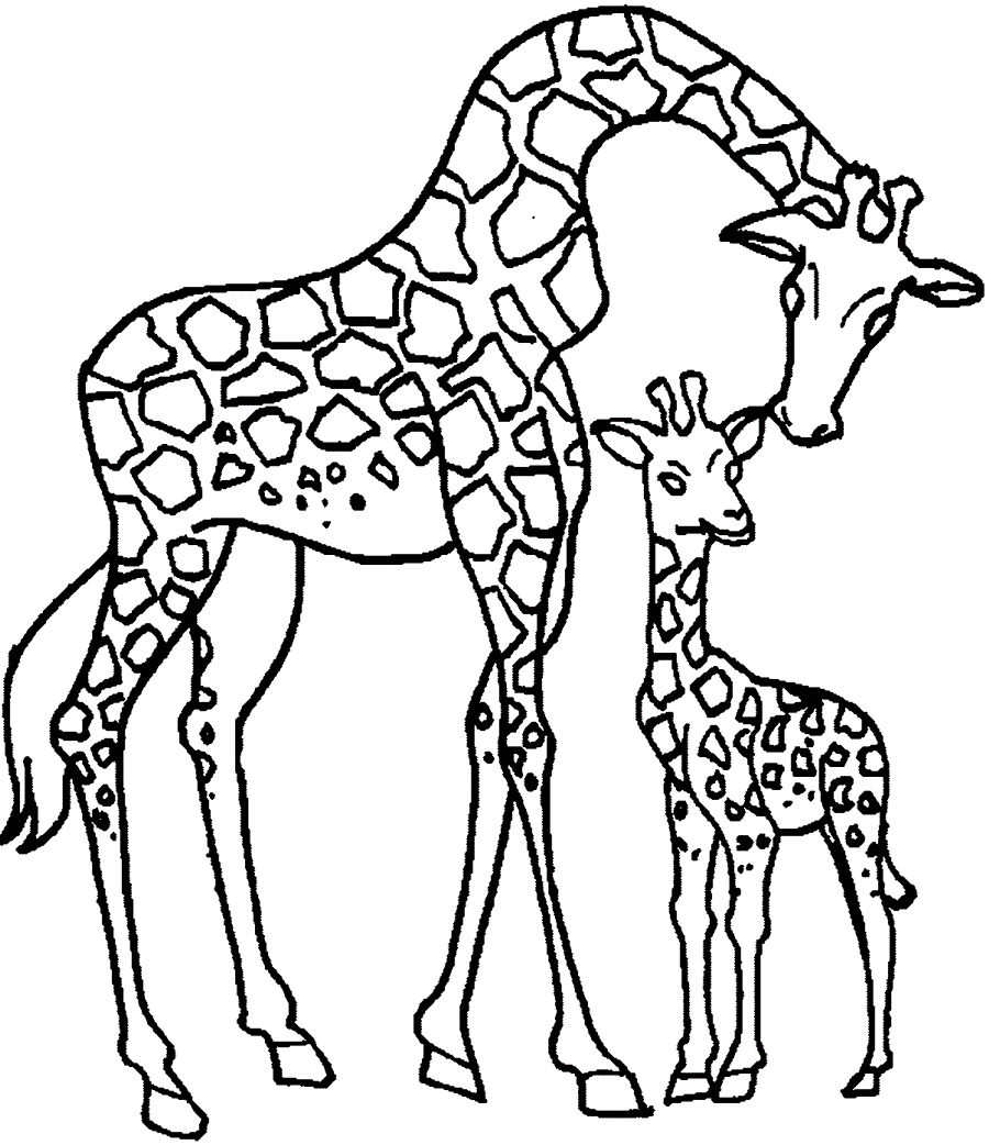 Жираф і жирафик