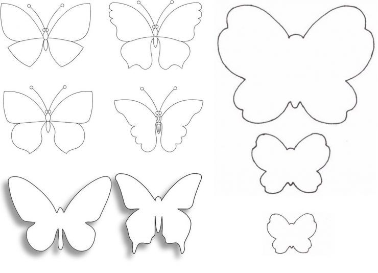 Контури метеликів