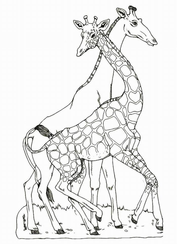 Танцюючі жирафи