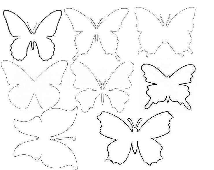 Багато метеликів