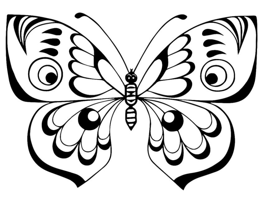 Метелик з візерунками