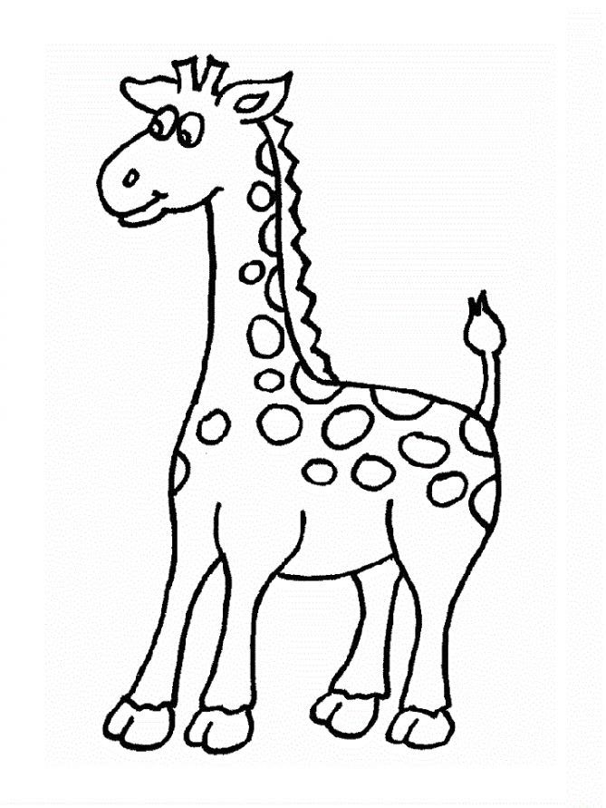 Кумедний жираф