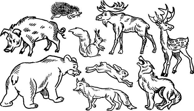 Малюнок Лісові тварини