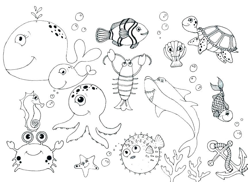 Картинка морські тварини