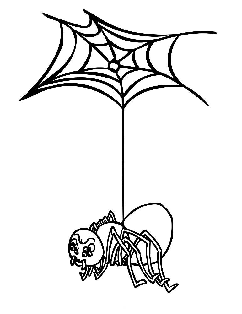 Розмальовка Павук на павутині