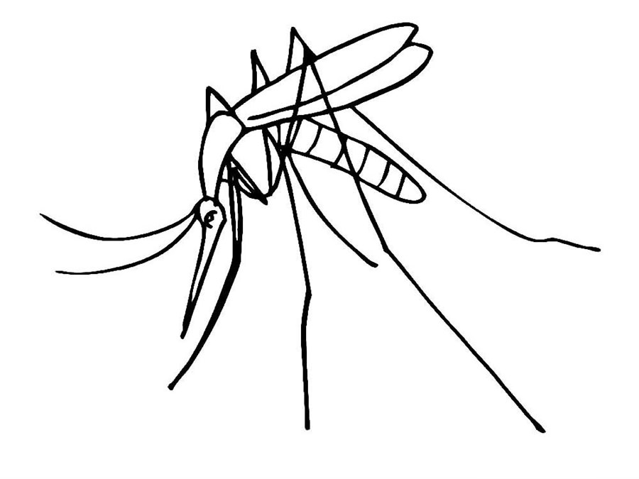 Малюнок Комар