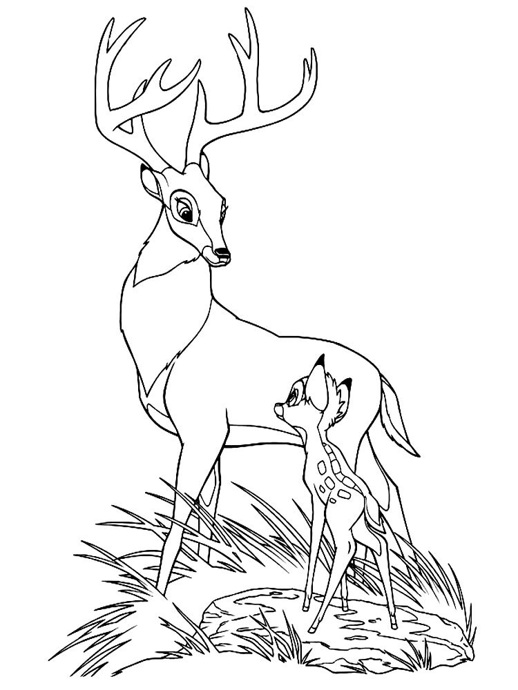 Розмальовка Оленя і олень