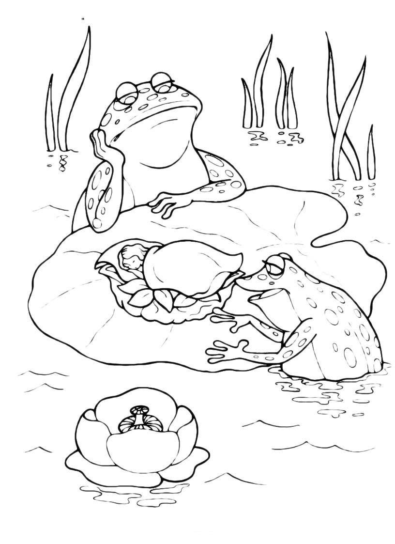 Дві жаби