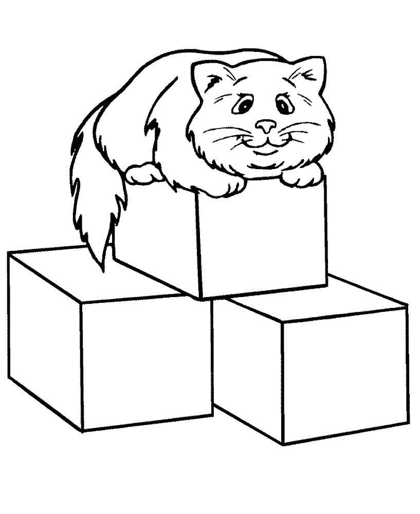 Кубик і кіт