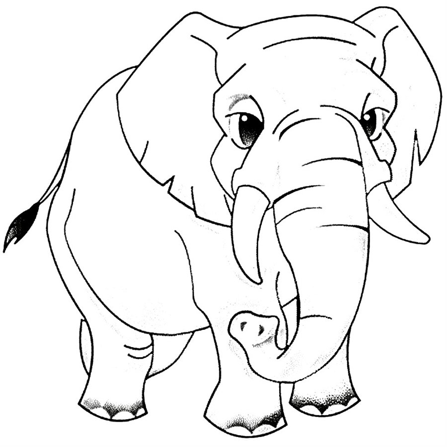 Розмальовка Слон
