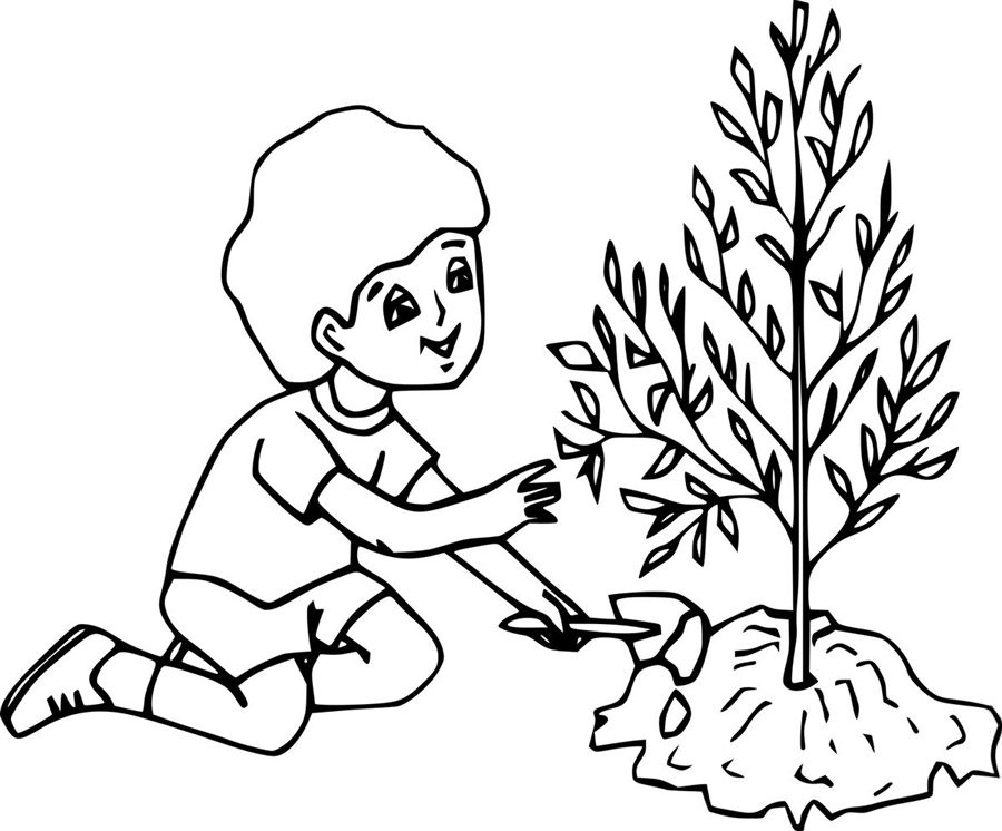 Хлопчик садить рослина