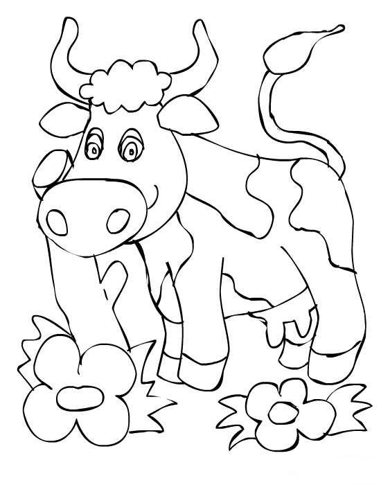 Розмальовка корова