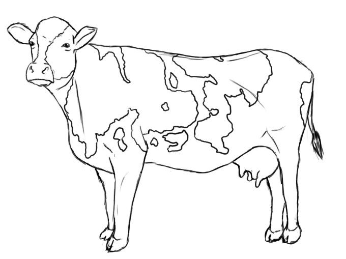 Плямиста корова