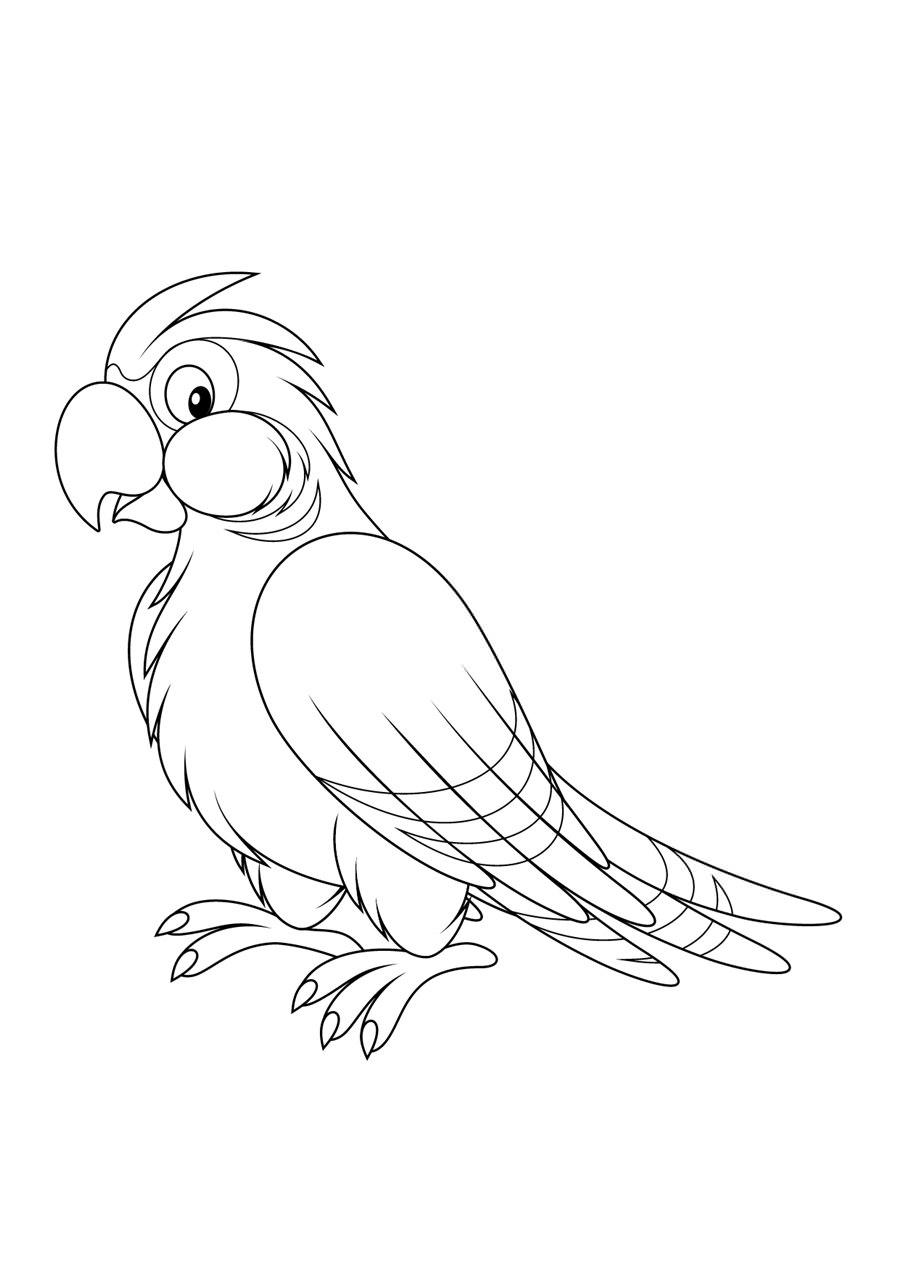 Папуга розмальовка