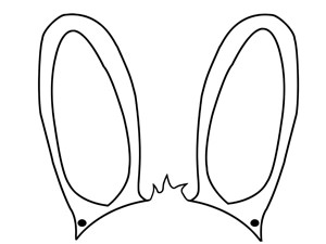 Вуха зайця