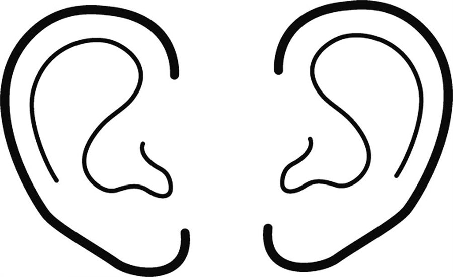 Вуха людини