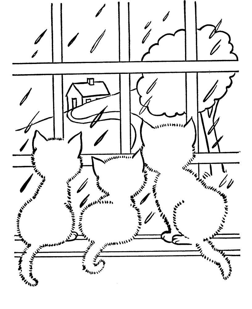 Коти на вікні