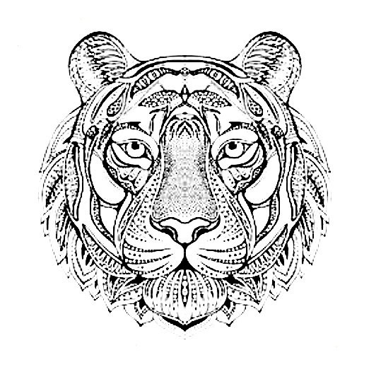 малюнок антистрес тигр