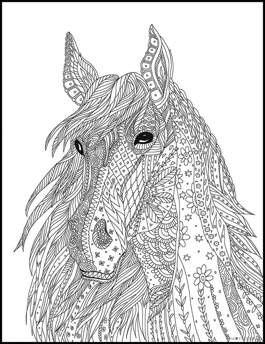 портрет коні