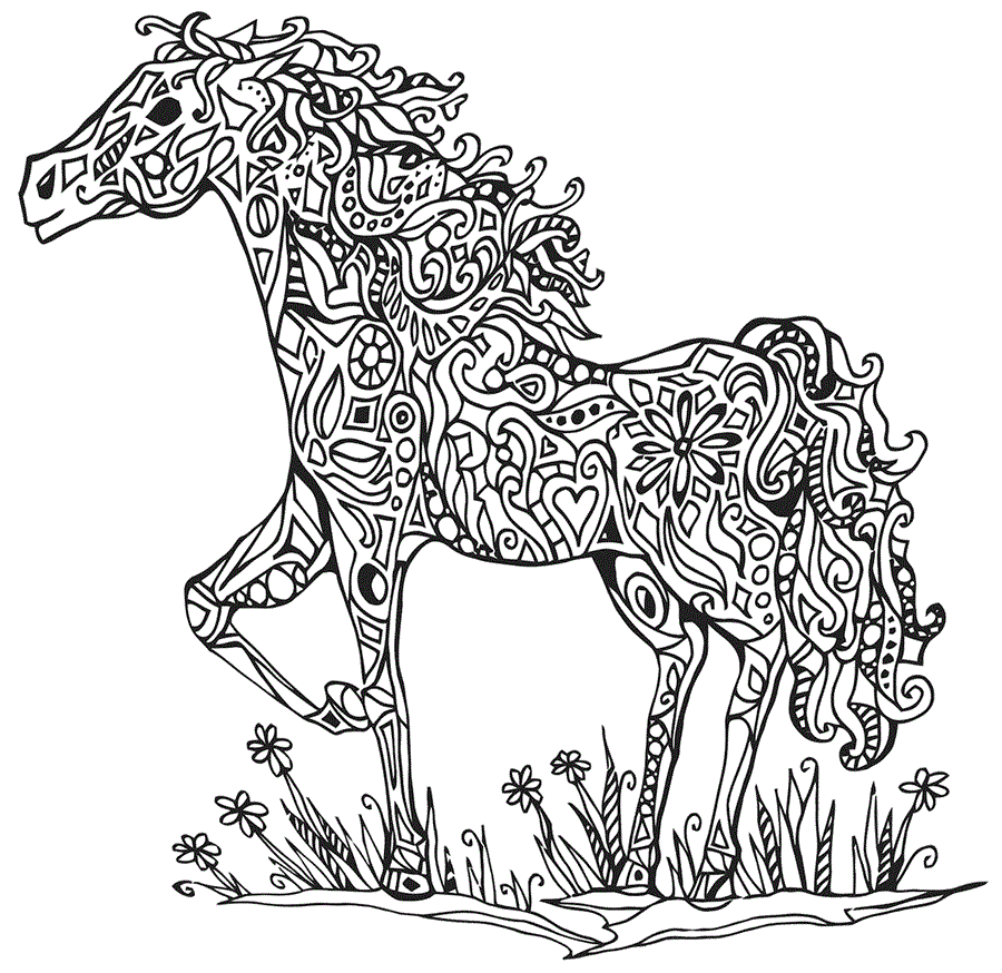 антистрес кінь у полі