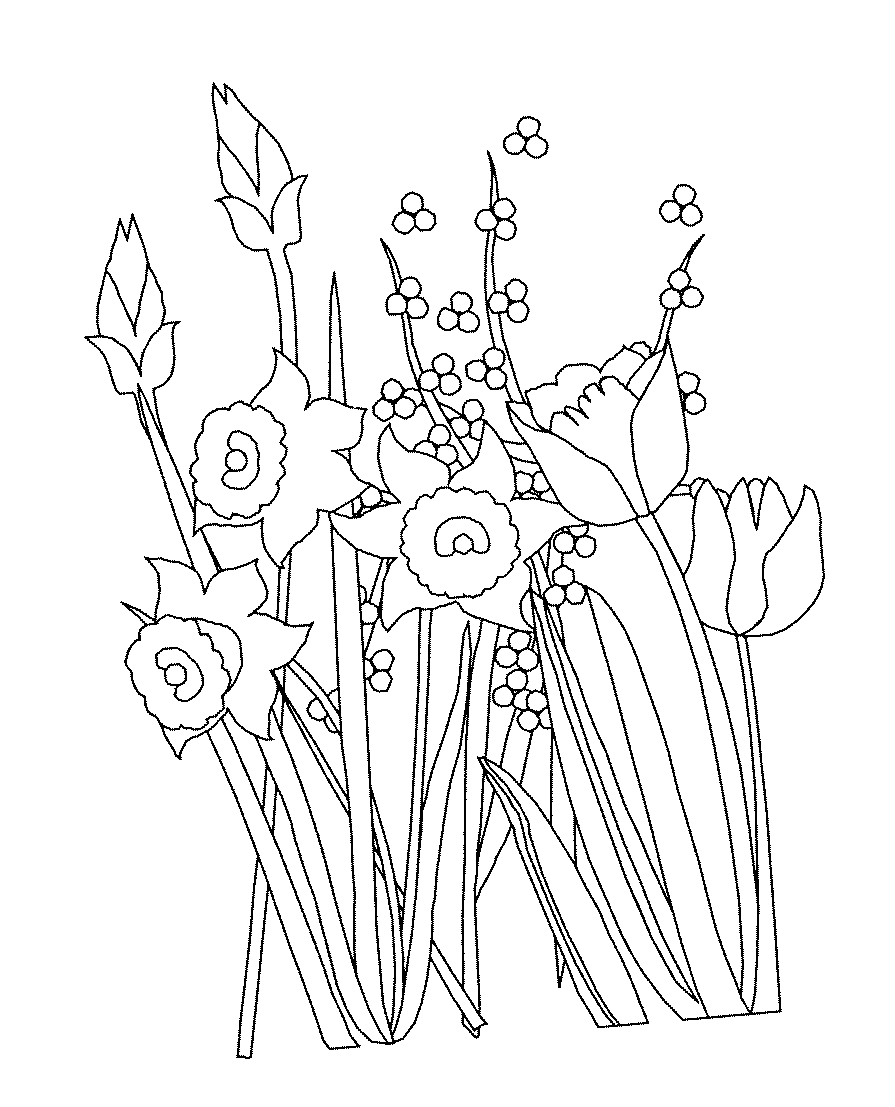 Тюльпани з мімозою