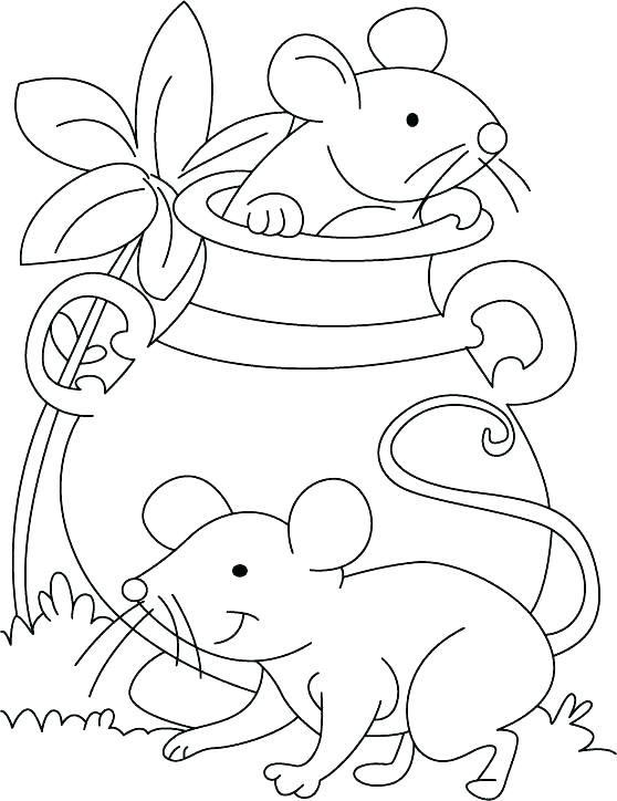 миші у вазі
