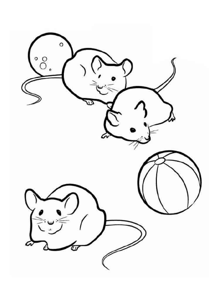 миші з м'ячем