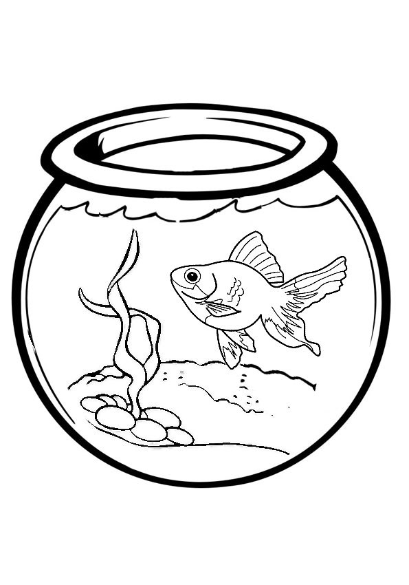 Рибка в акваріумі