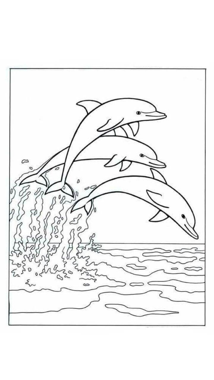 Дельфіни над водою