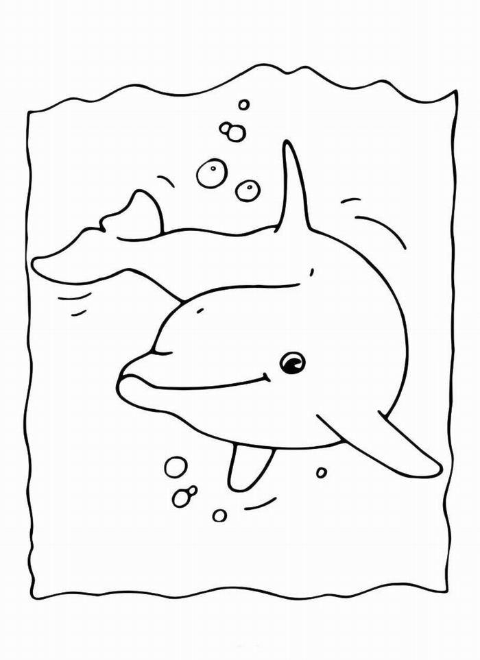 Дельфін розфарбовувати