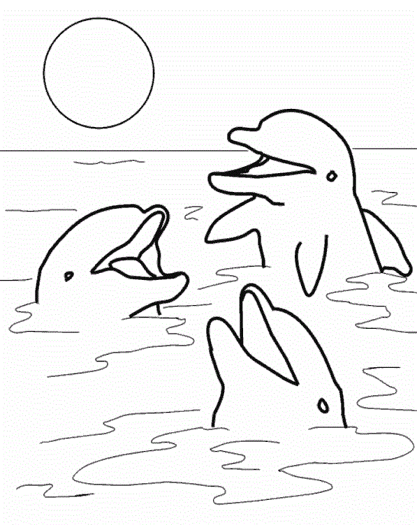 Три дельфіна