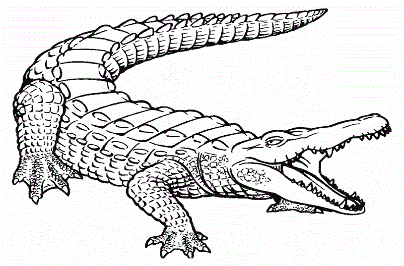 Зубастий крокодил